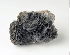 Foto von Calcit (NHMW-MIN-Am357)